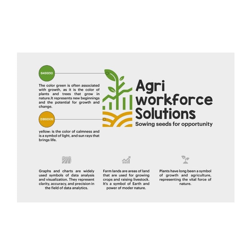 Portfolio design sample 17